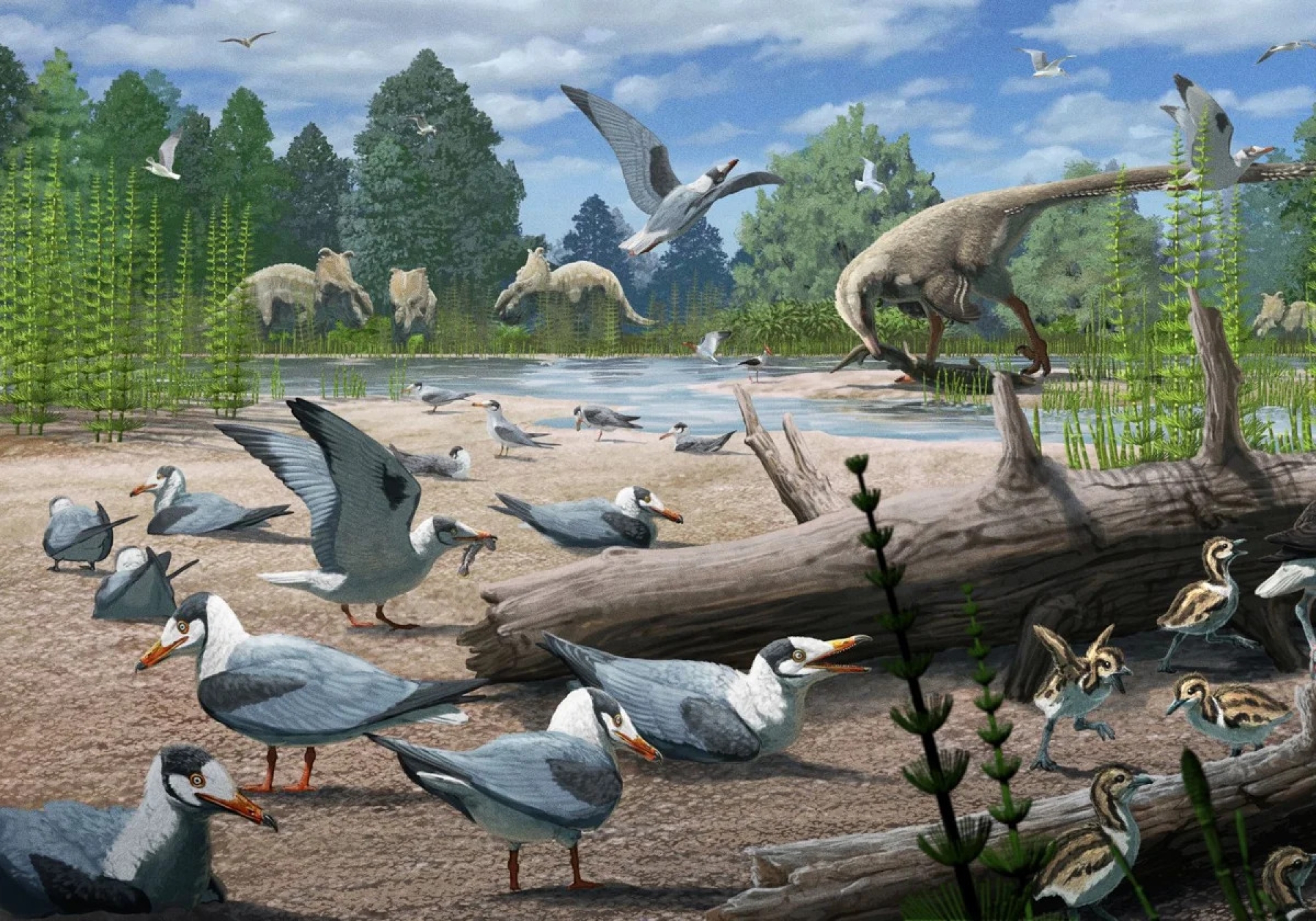 Descubren fósiles de aves del Ártico que convivieron con dinosaurios