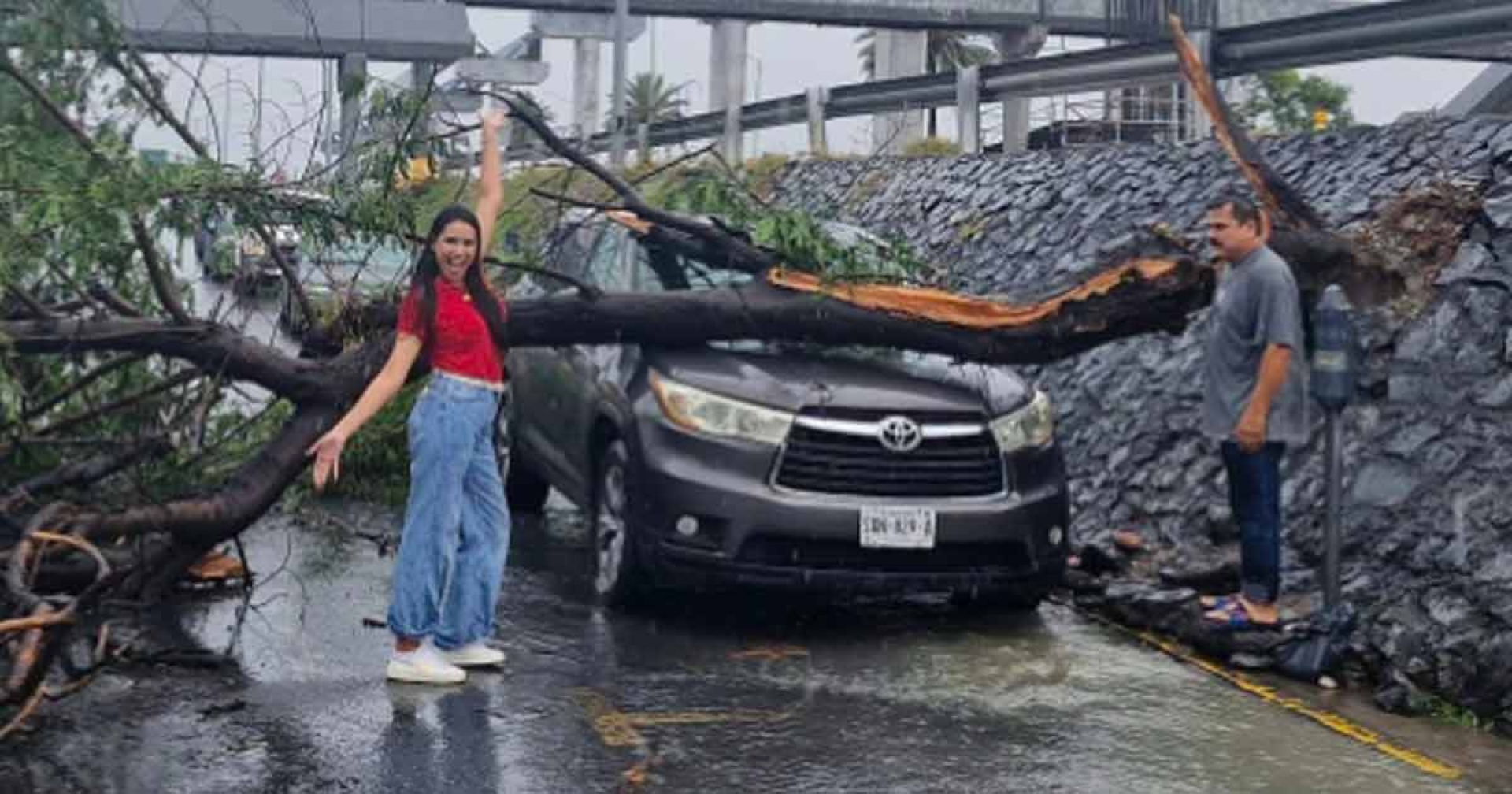 Árbol aplasta camioneta de empleada del IMSS; su actitud positiva asombra