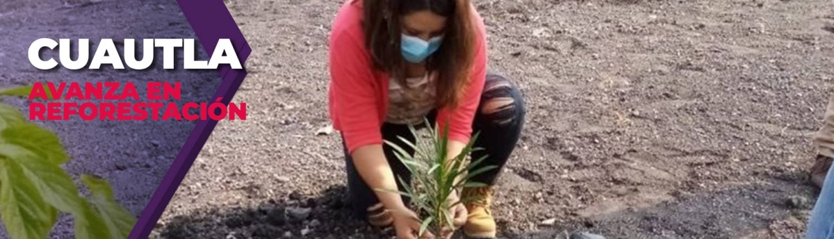 Avanza reforestación en comunidades de Cuautla