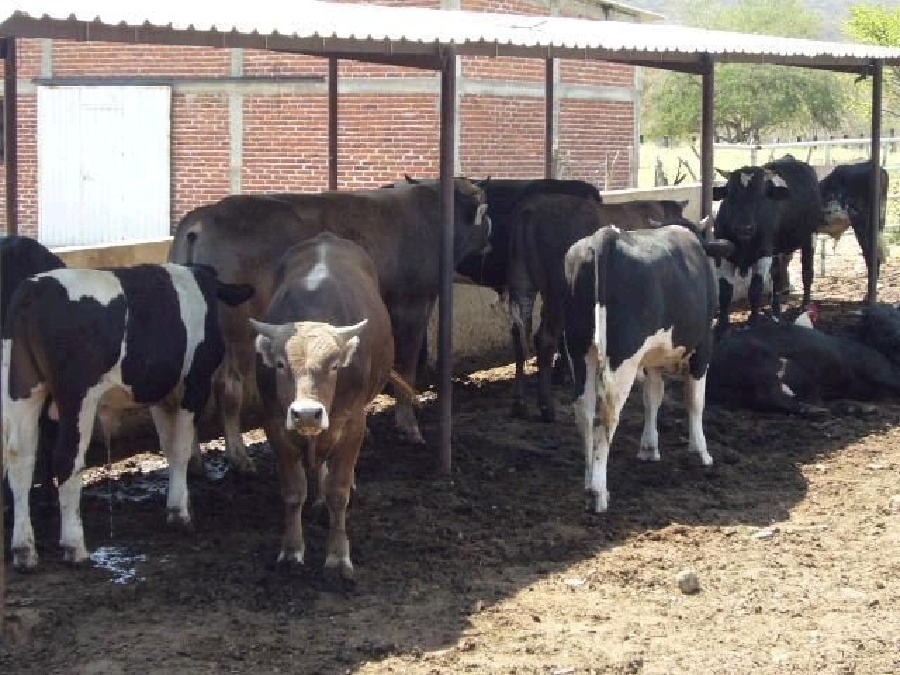 Exhorta el gobierno federal a usar sólo rastros TIF