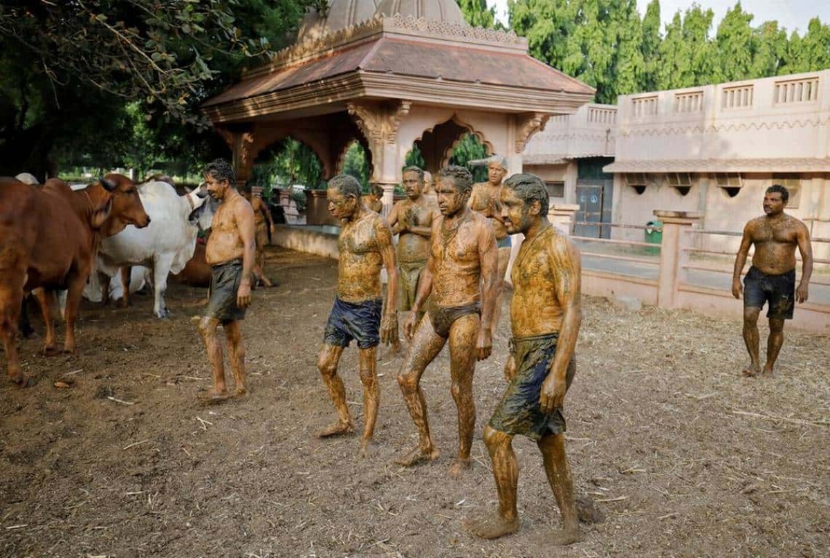 Personas se cubren con excremento y orina de vaca para "curarse" del COVID en India