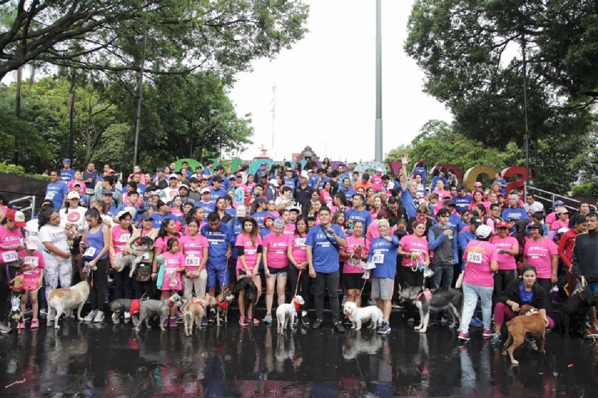 Un éxito, la Carrera Pet Friendly