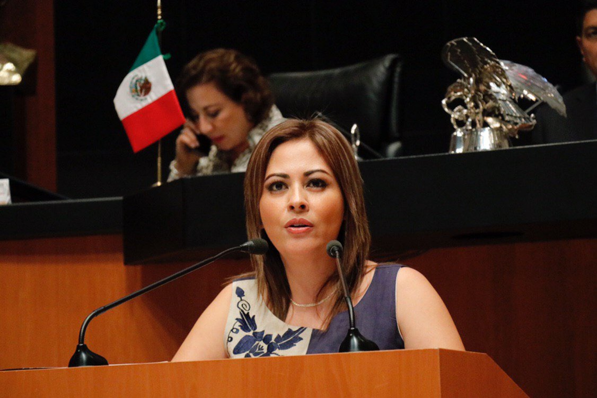 Lucía Meza, el proyecto político