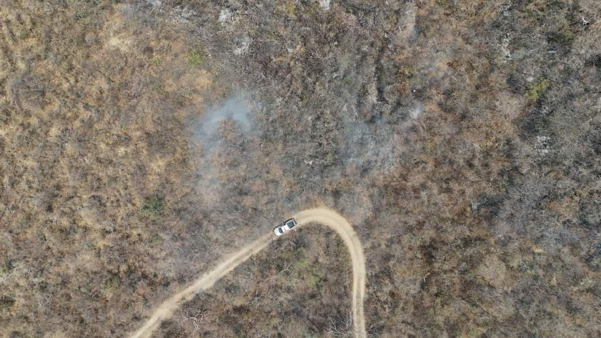 Se suman brigadas para combatir incendio en Tlaltizapán