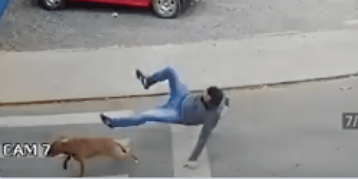 Perro atropella a hombre que cruzaba la calle: VIDEO
