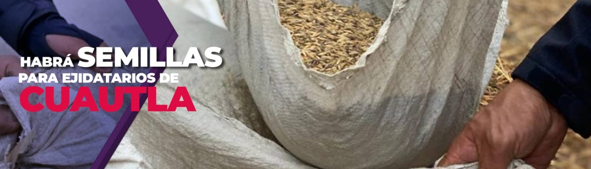 Si habrá semillas para ejidatarios de Cuautla: Desarrollo Agropecuario