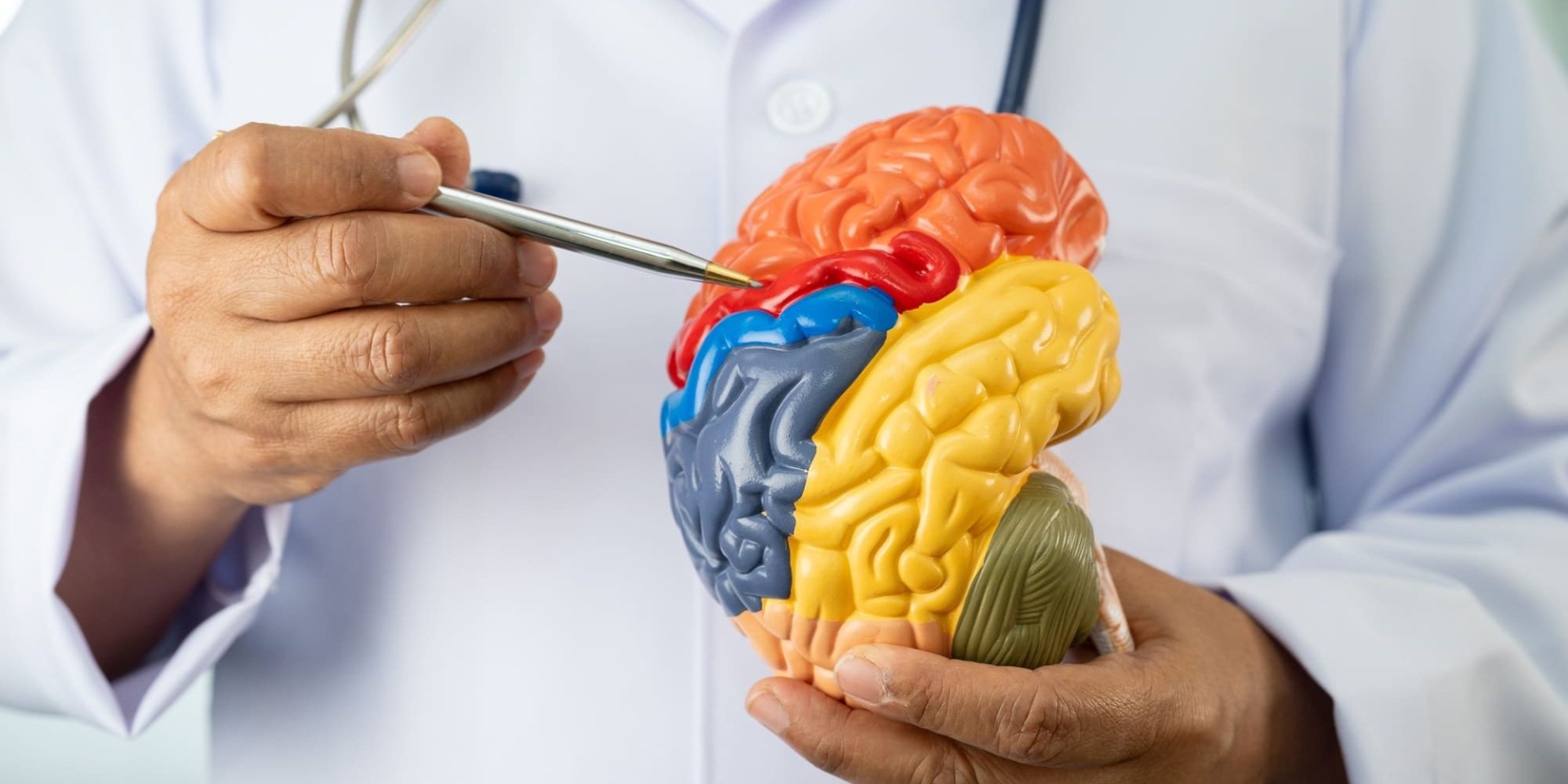 Caminar al menos 3 mil pasos diarios retrasa progresión del Alzheimer