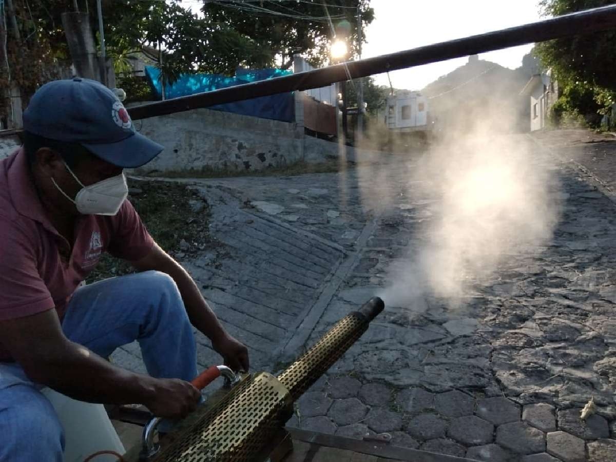 Preocupa proliferación de moscos en Tlayacapan