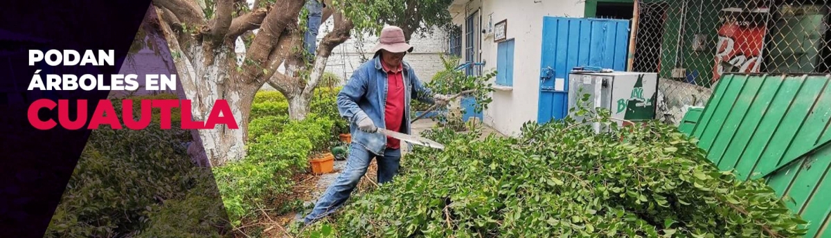 Podan árboles en Cuautla ante un eventual regreso a clases
