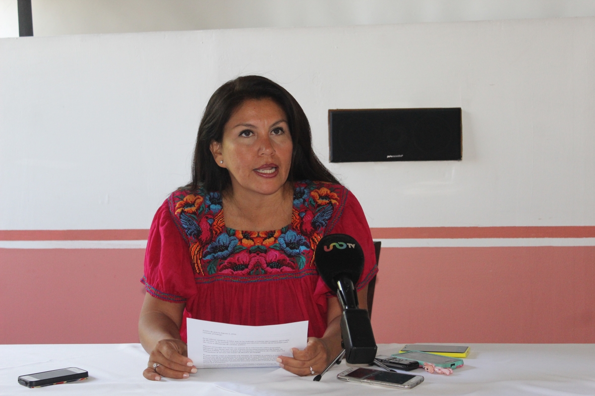 Diputada pide diálogo a los detractores de las leyes recién aprobadas