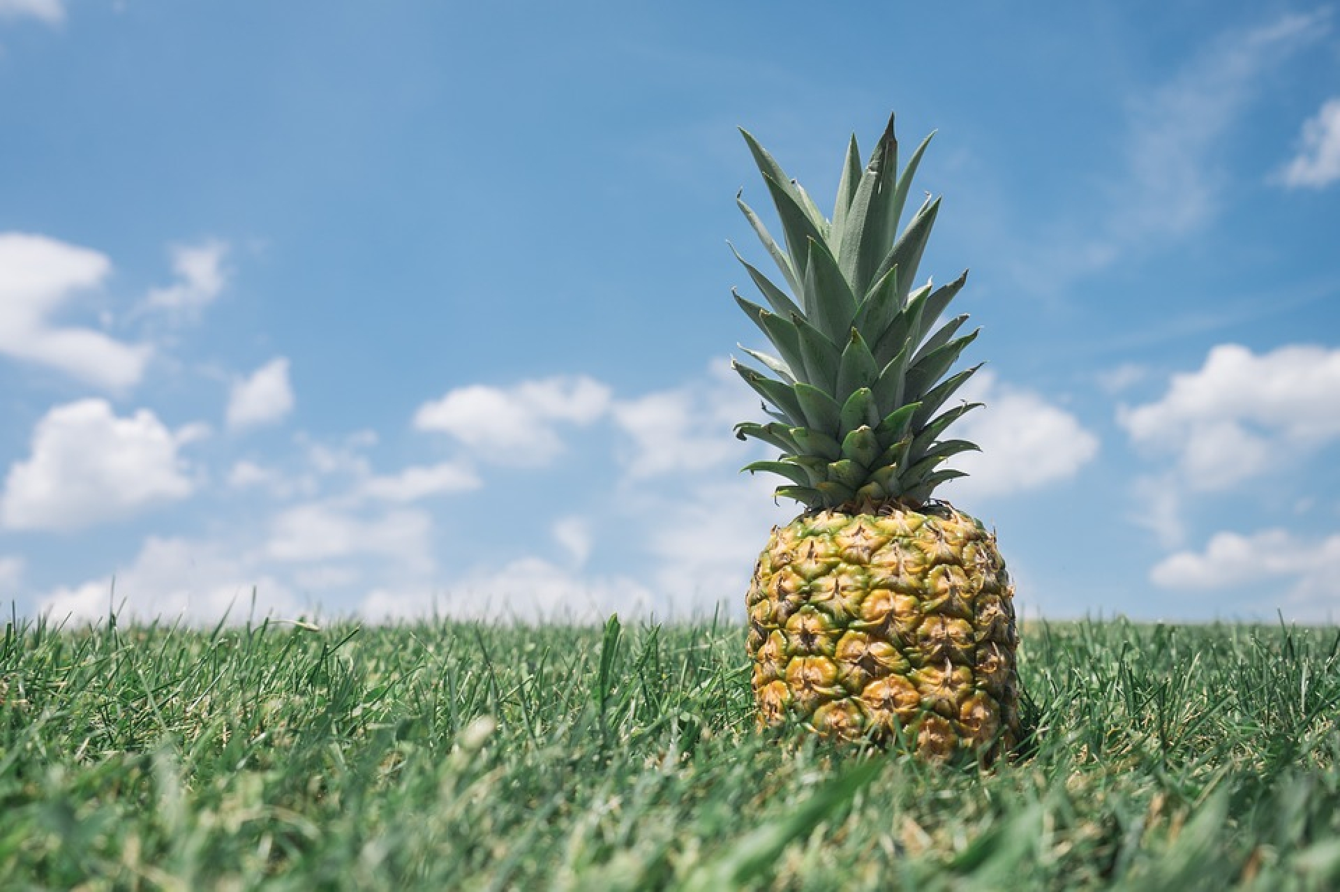 Los beneficios de la piña que no conocías