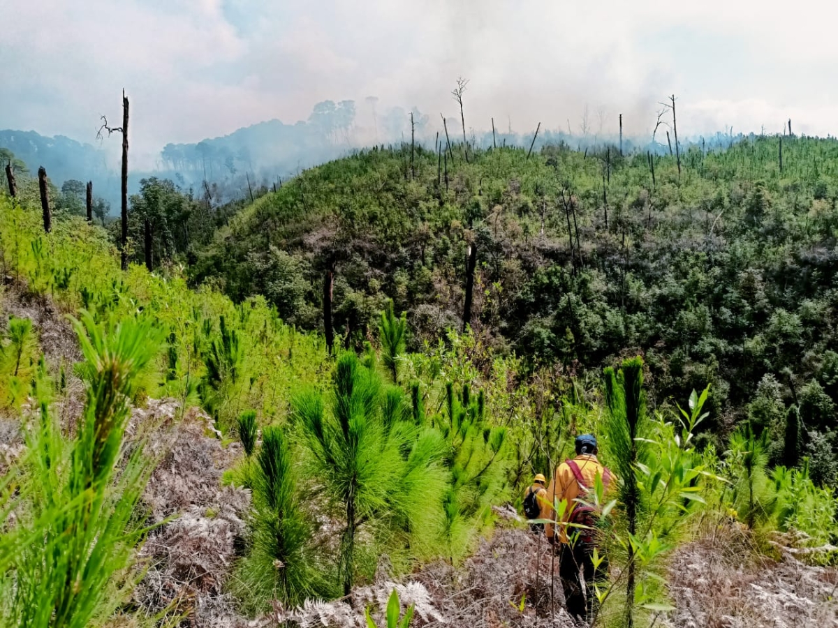 Activo, incendio forestal en el paraje 'El Fresno' en Santa María
