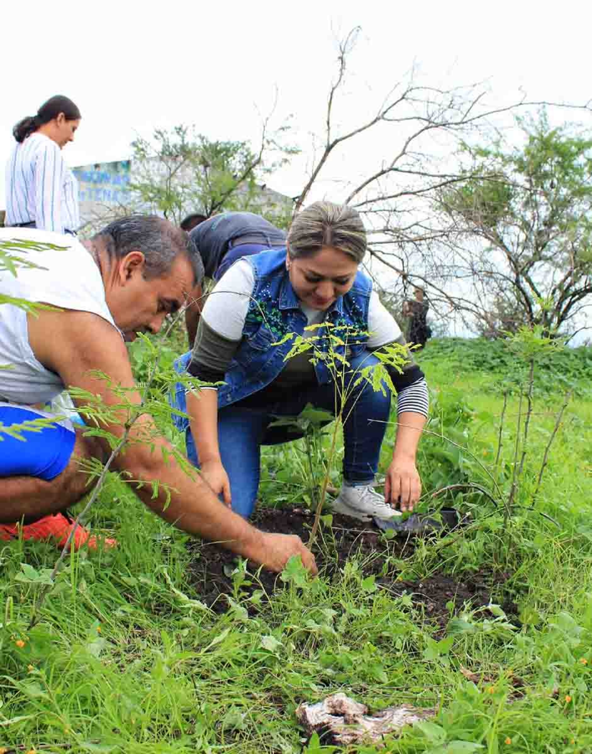 Realizan campaña de reforestación en Anenecuilco