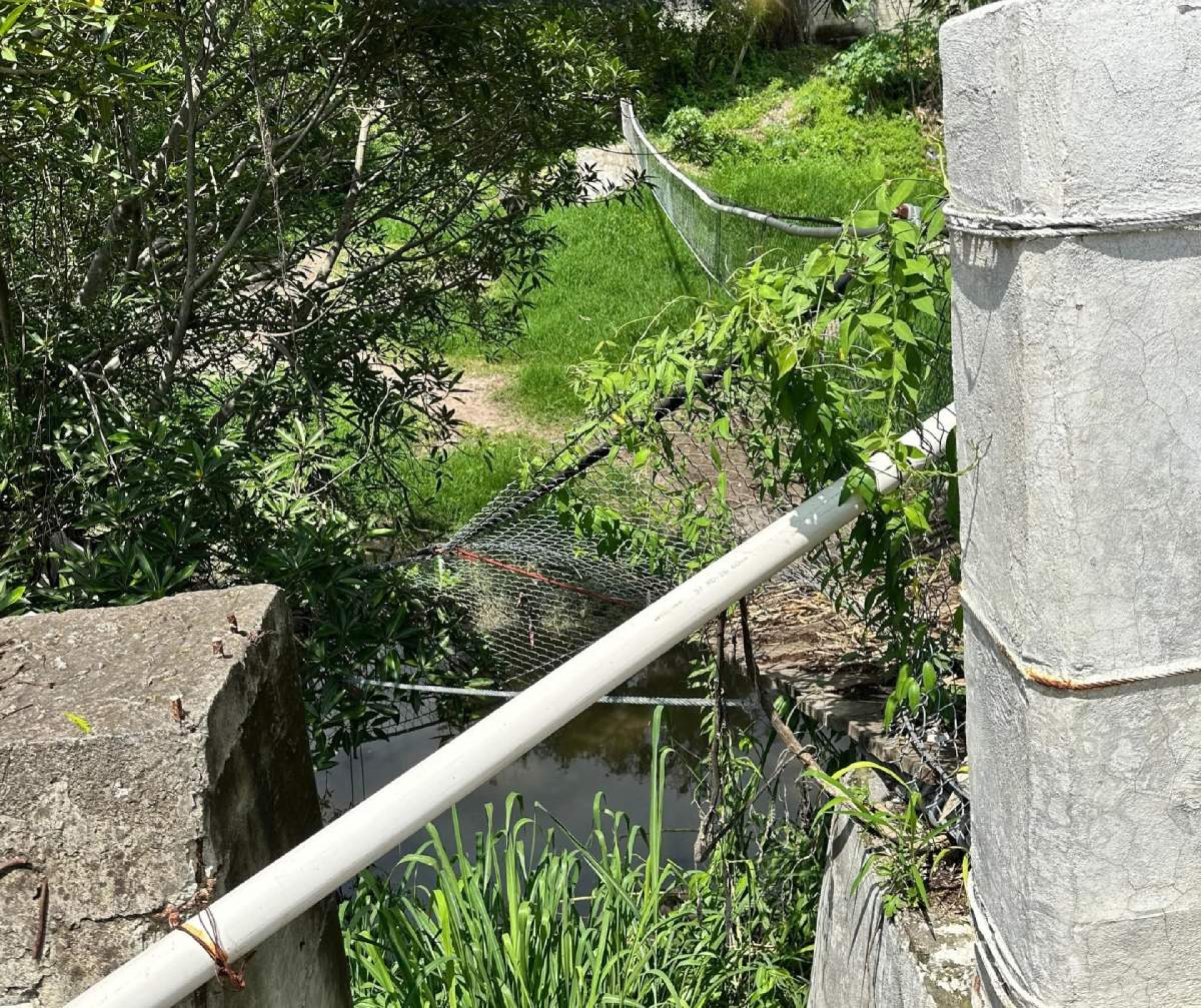 Puente colgante de Mazatepec, en riesgo por crecientes del río Tembembe