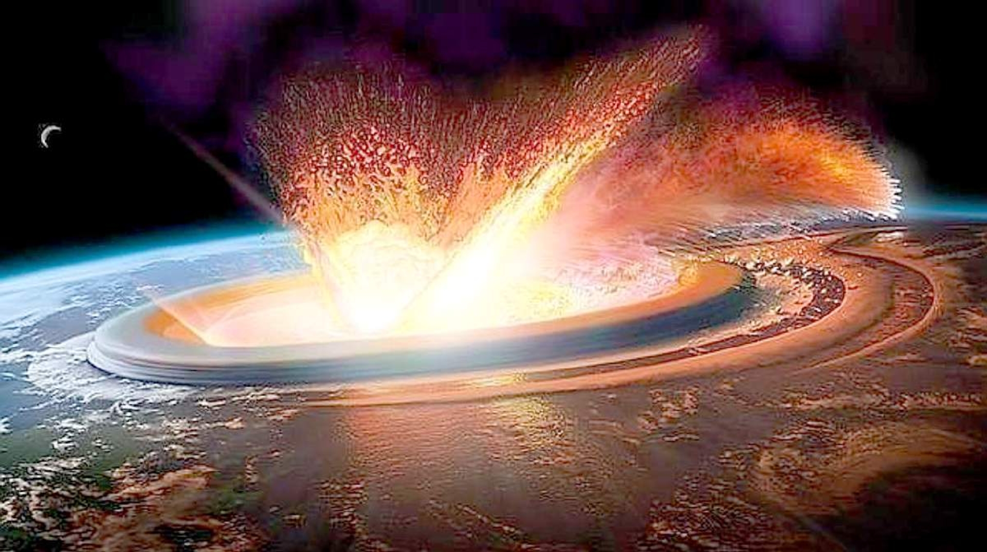 Las plantas con flores sobrevivieron al asteroide que mató a los dinosaurios y muy probablemente nos van a sobrevivir a nosotros también