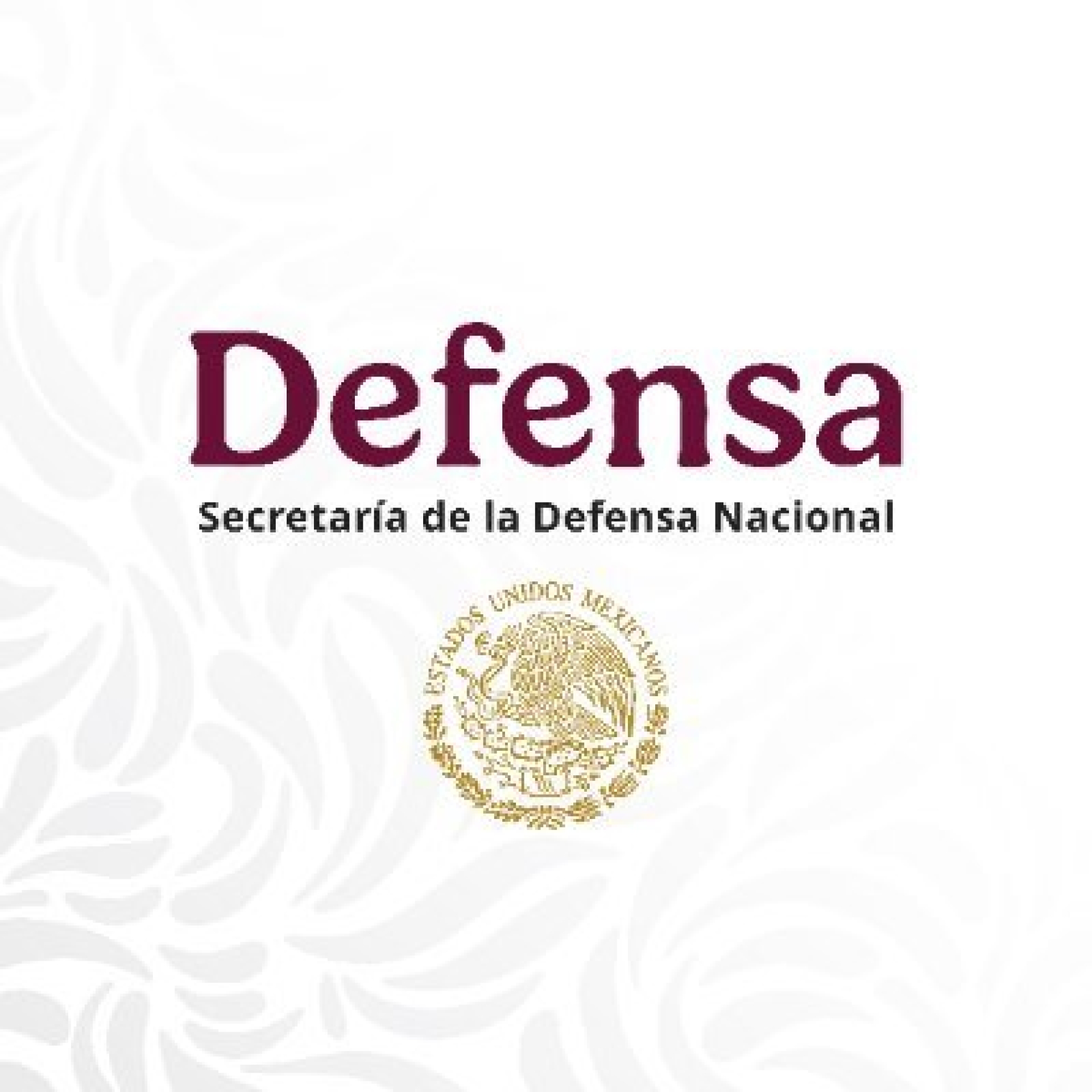 Informa Defensa sobre operación para detención de Rubén 'N' (a) Mencho