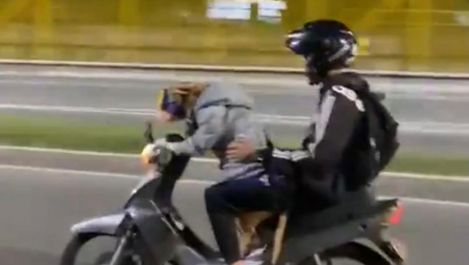 ¡A toda máquina! Captan a un perro manejando una moto