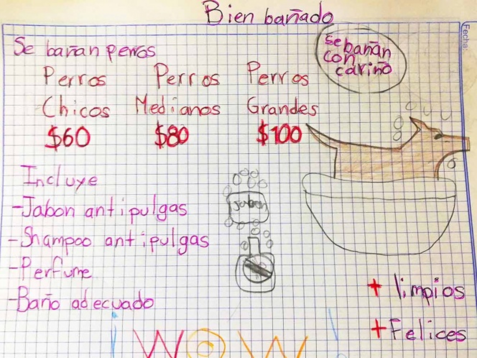 ‘Se bañan perritos con cariño’, niño que quiere ser veterinario inicia negocio para ahorrar
