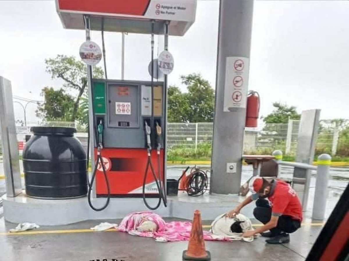 Empleado de gasolinera rescata a perritos callejeros