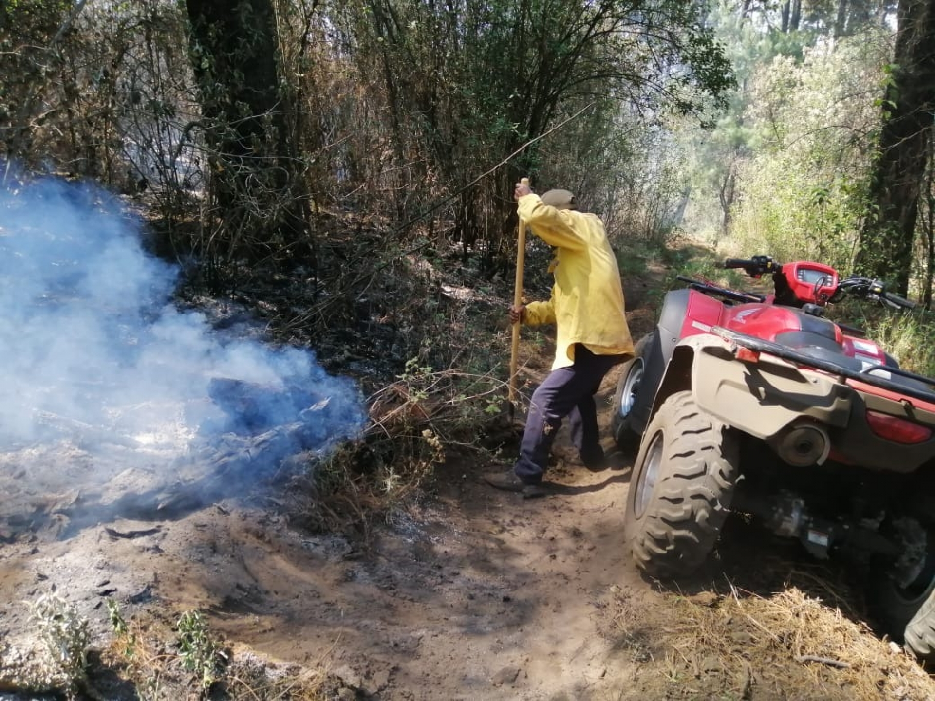 Incendio forestal en paraje 'Ololica', al 100% controlado y liquidado: SDS