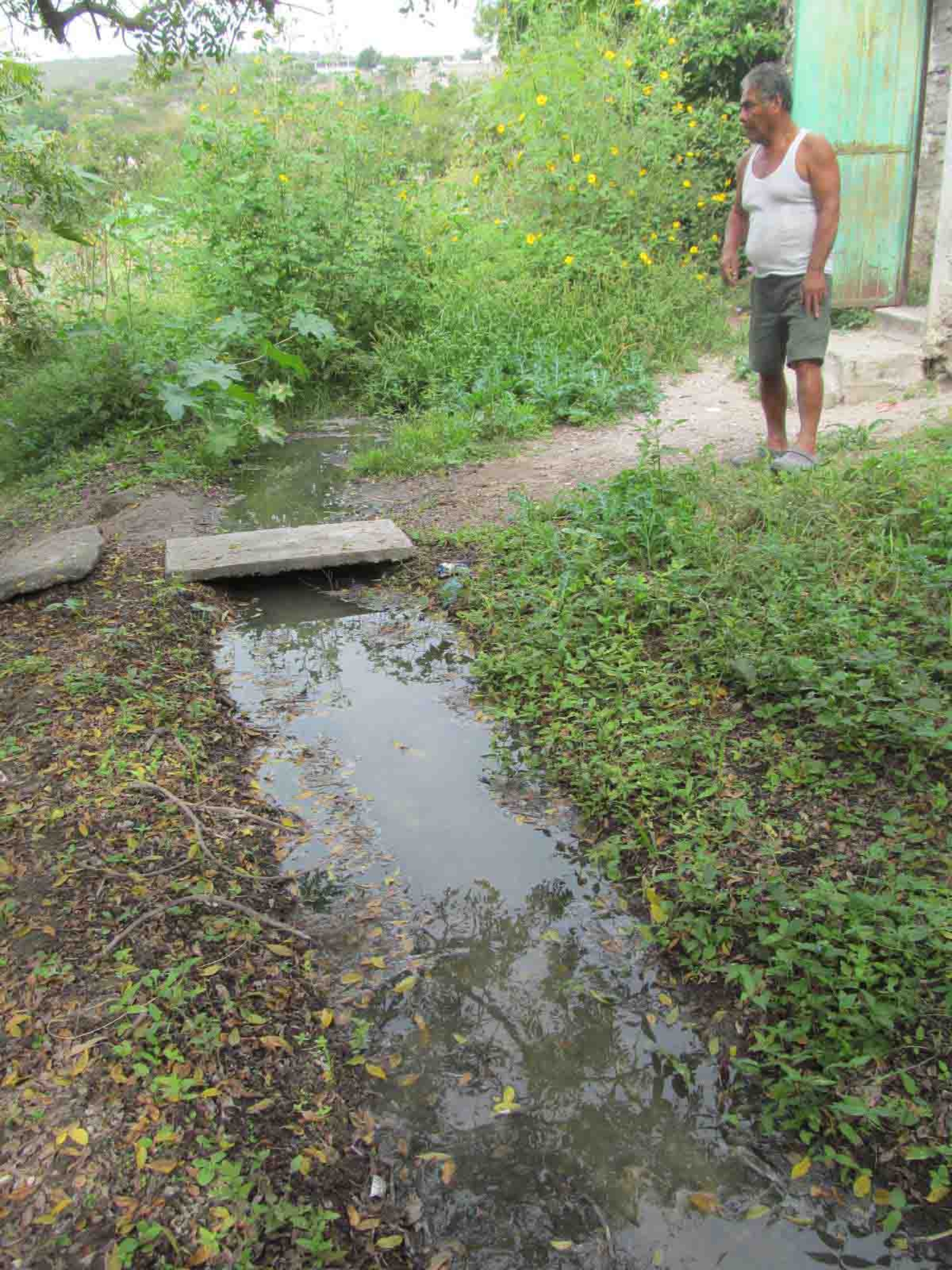 Aguas negras llevan meses escurriendo sobre la superficie