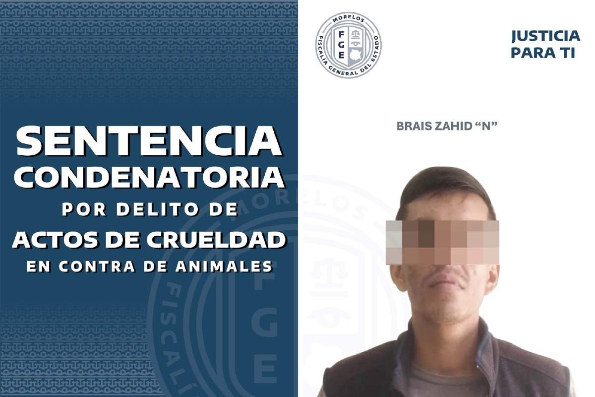 Sustituyen pena a agresor de perrito 'Catrín'