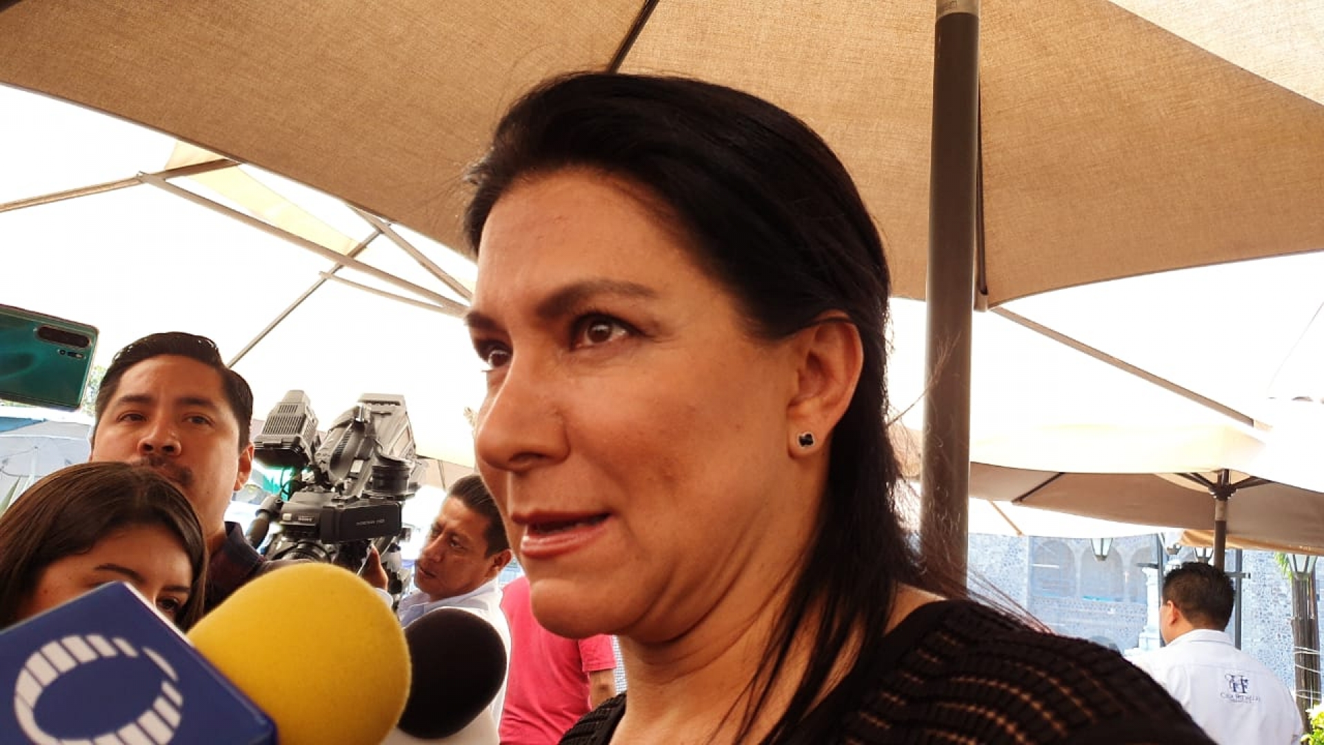 Plan impulsado por gobierno busca evitar que crezca tasa de desempleo: SDEyT