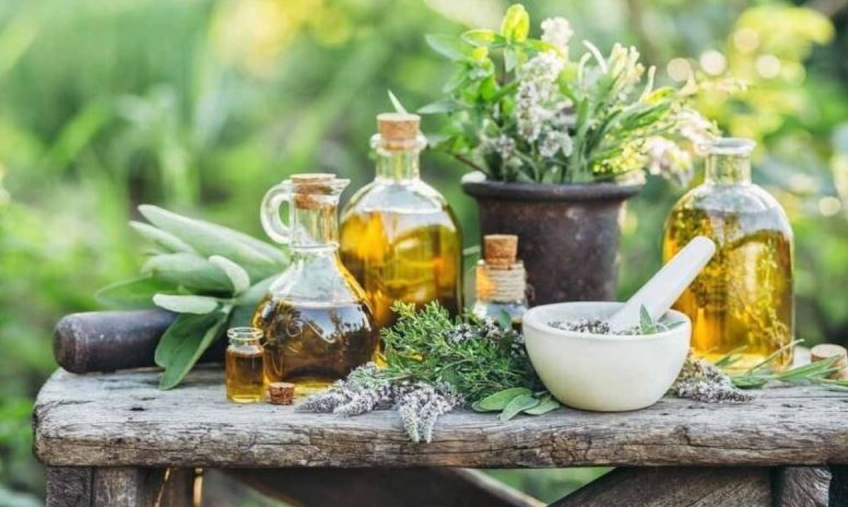 México, segundo país con más plantas medicinales en el mundo