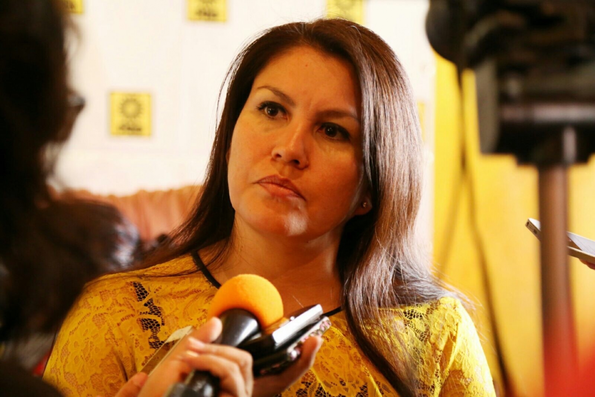 Hortencia Figueroa renuncia al PRD