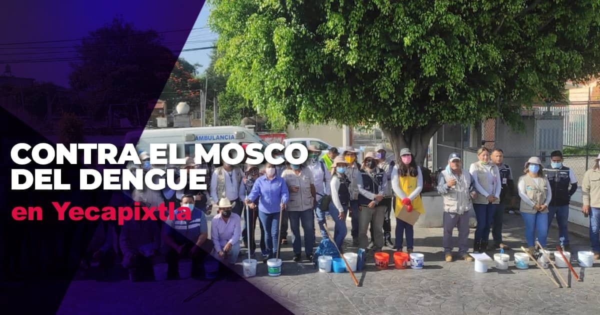 Emprenden combate al mosco transmisor del dengue en Yecapixtla