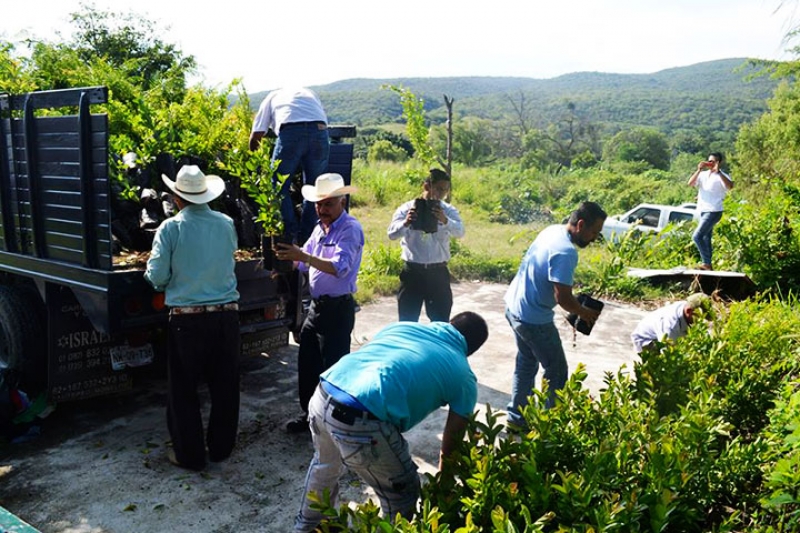 Plantarán mil árboles en Coatlán del Río
