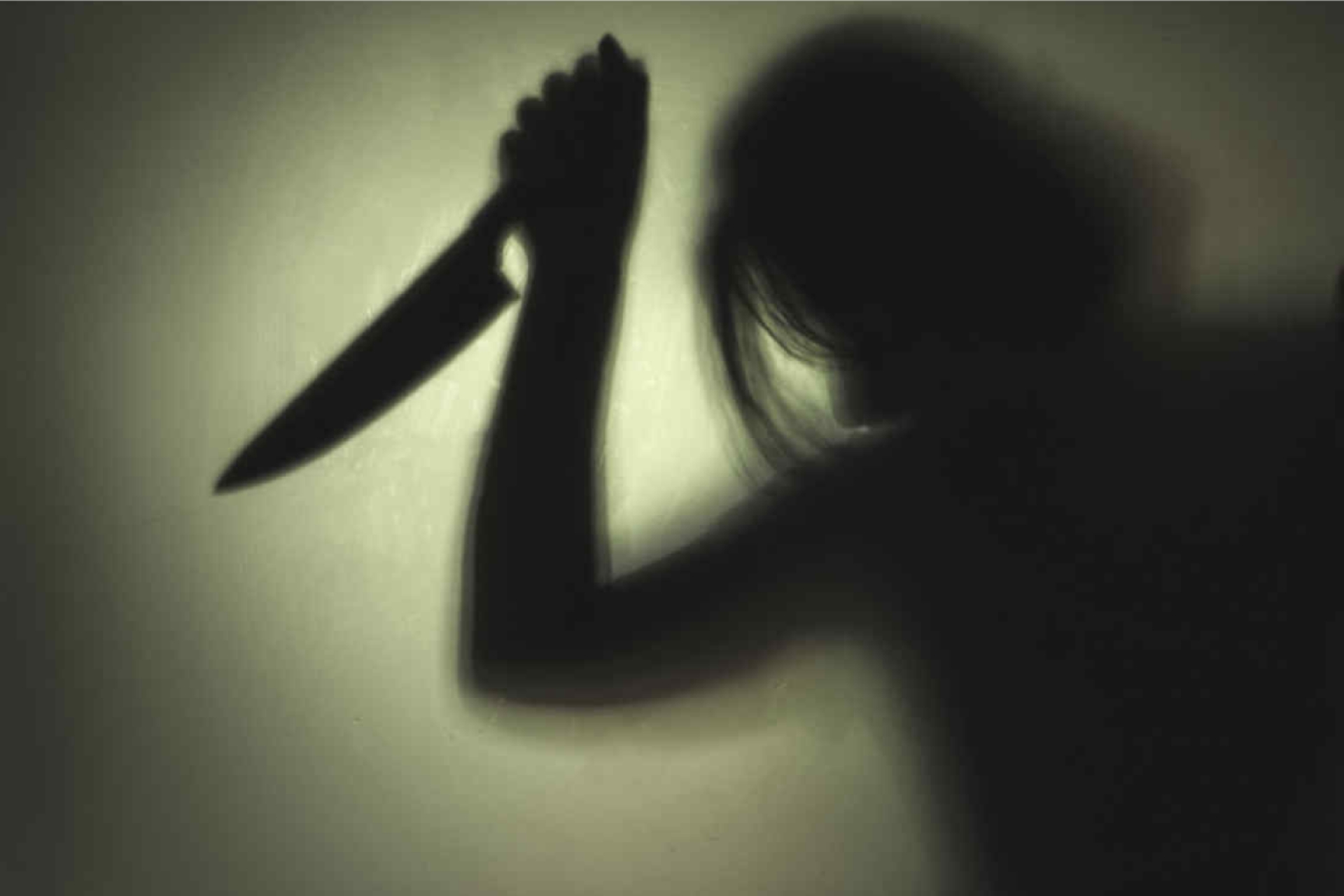 Arrestan a una mujer por presunto intento de homicidio
