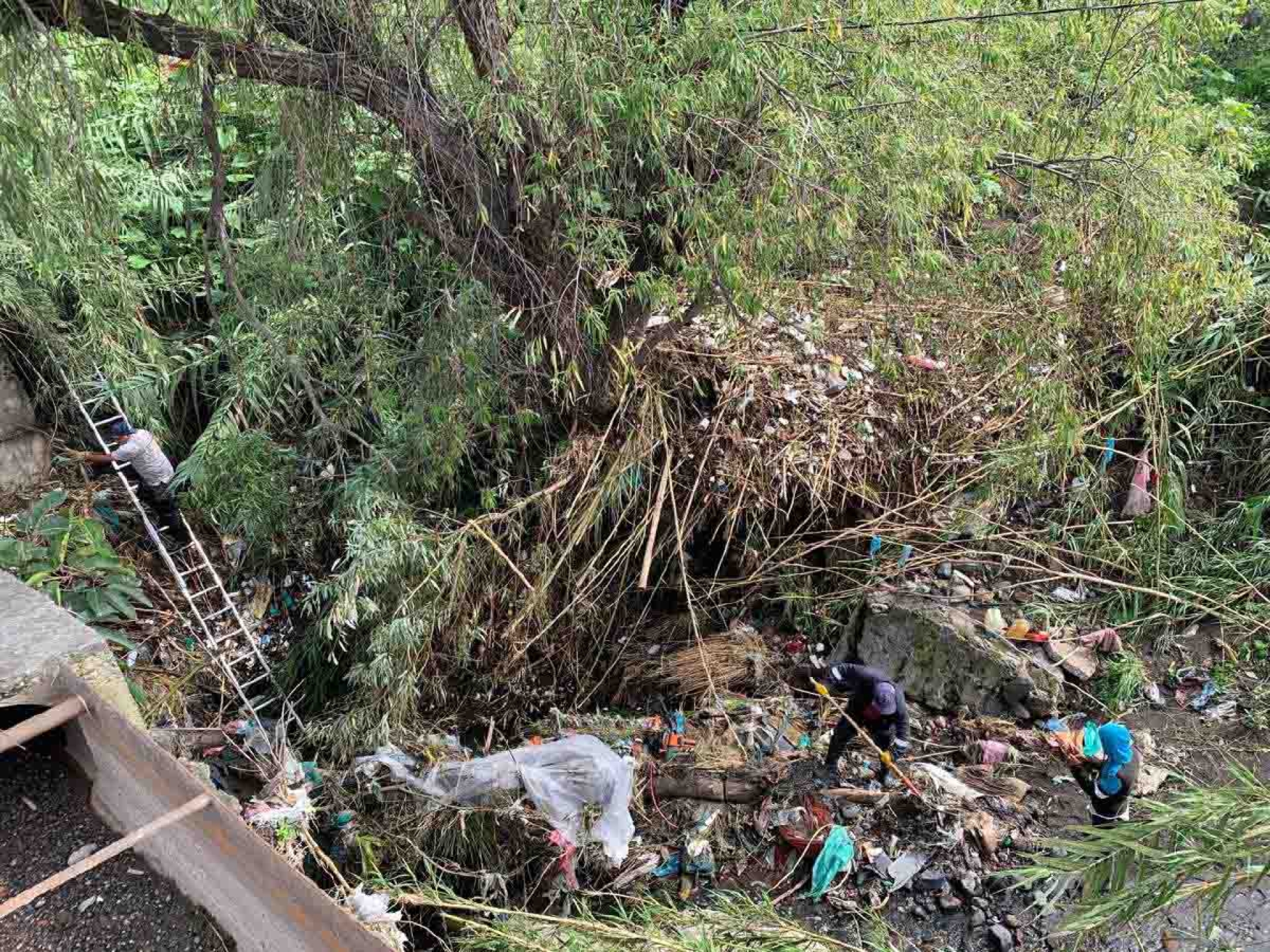 Limpian cauces de barrancas para evitar inundaciones en Cuautla