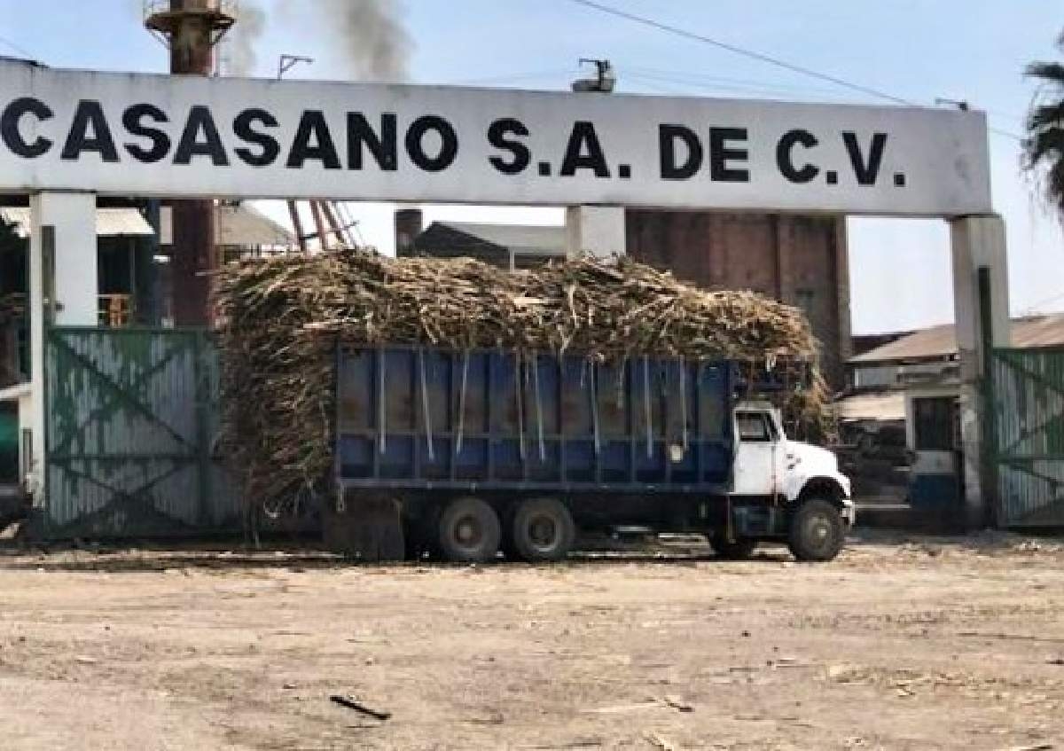 Ingenio Casasano, segundo lugar nacional en producción de azúcar
