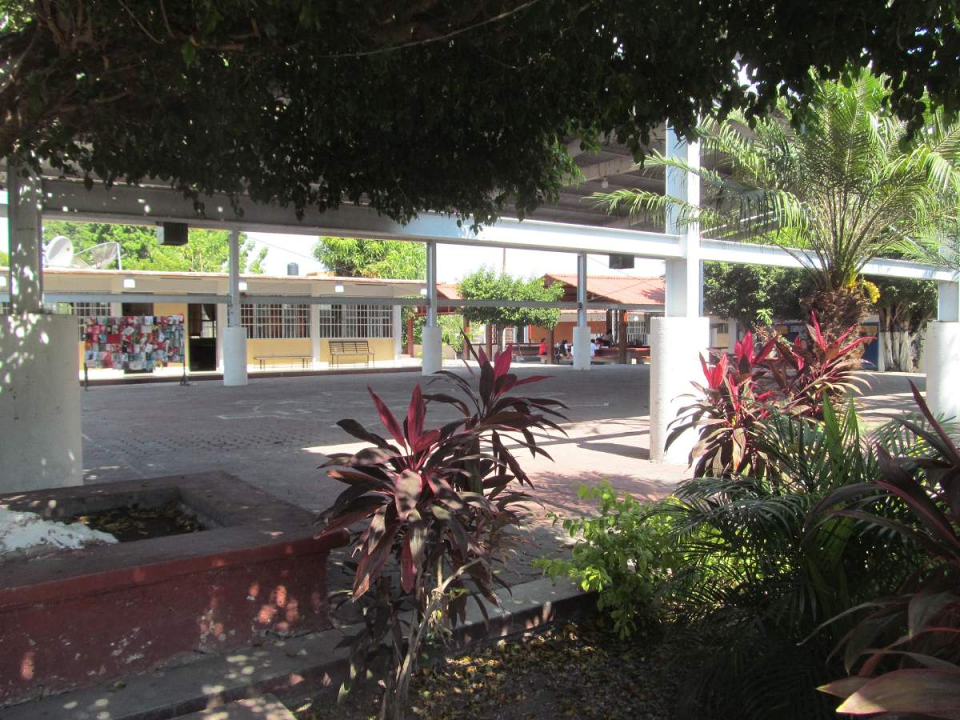 Rumor de balacera llega a escuela de Zacatepec