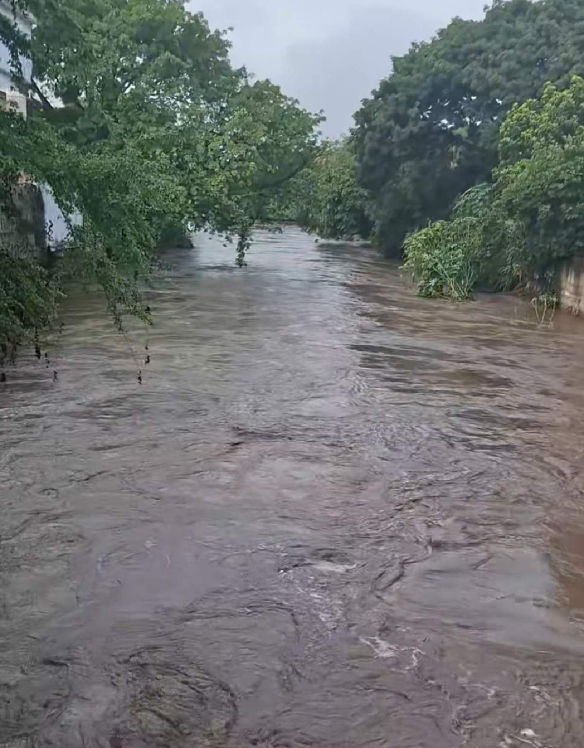 Por creciente, mantienen vigilancia del río Chalma en Puente de Ixtla