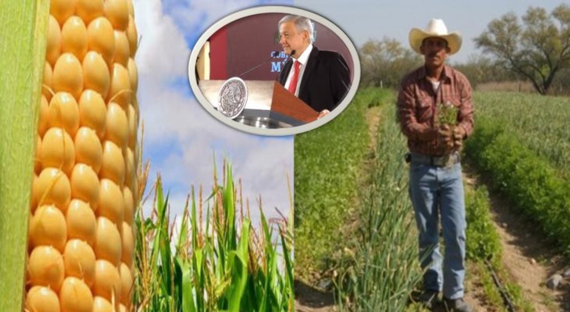 Por primera vez en su historia, México ingresa al Top 10 de países exportadores agroalimentarios