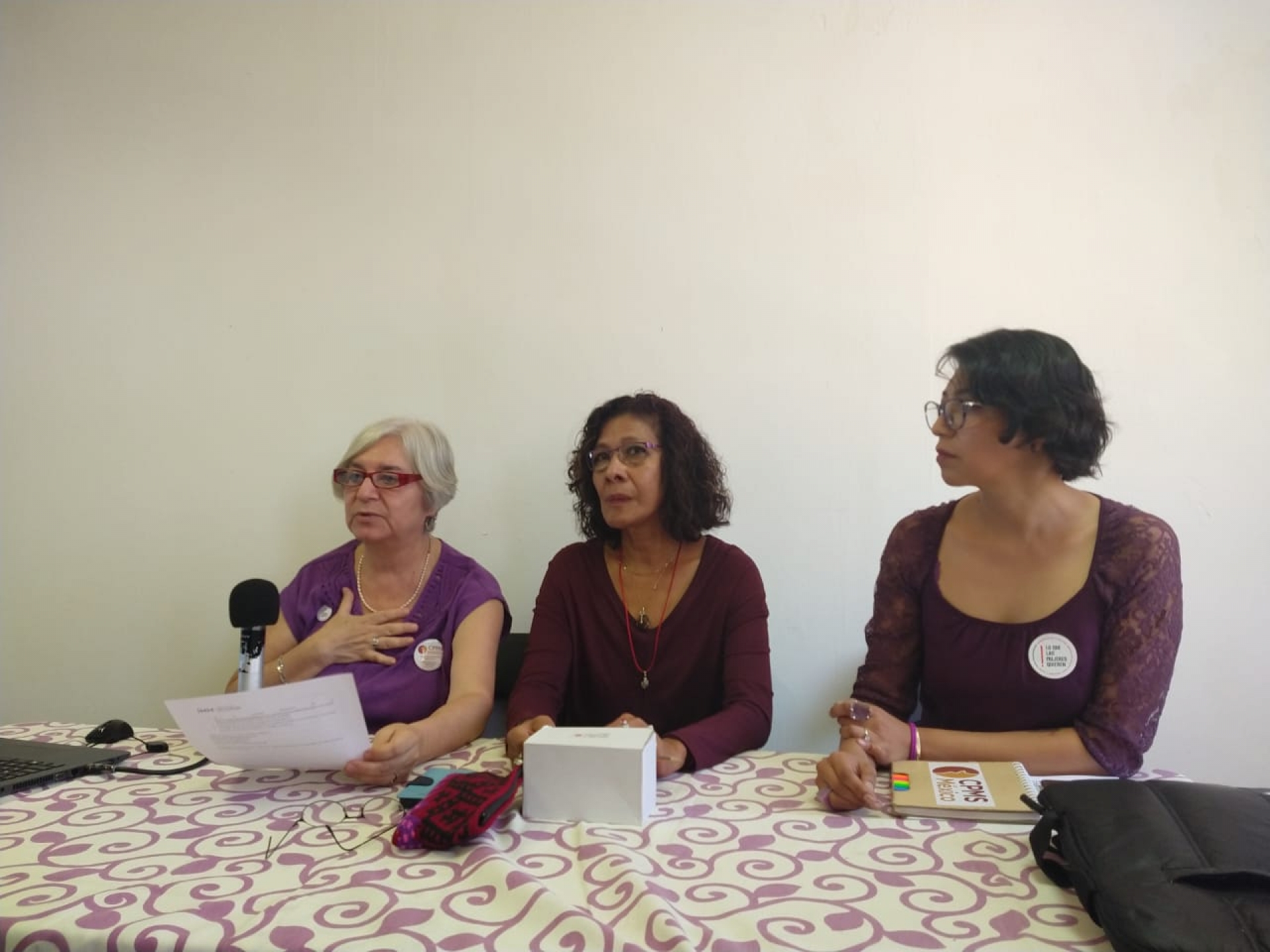 Realizarán encuesta sobre salud materna