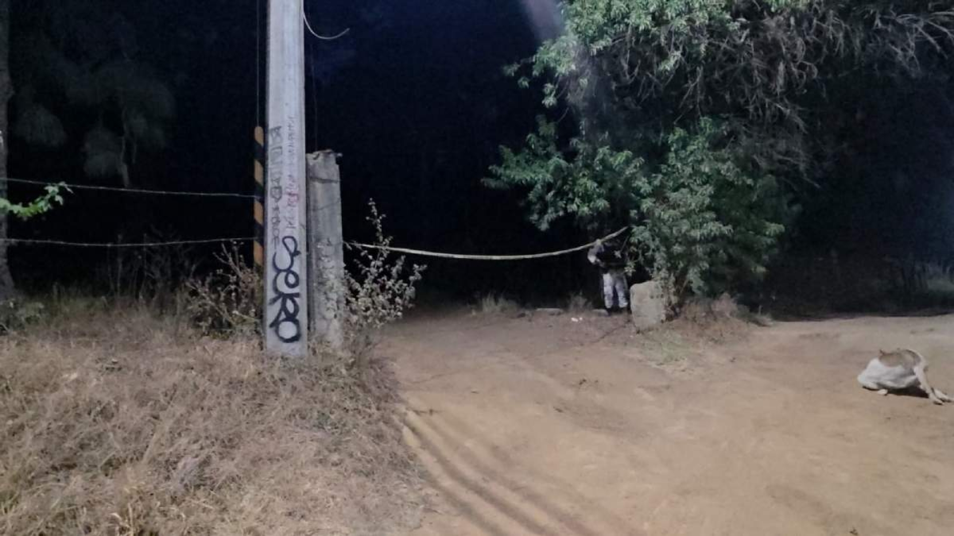 Localizan cadáver en bosque aledaño a la UAEM