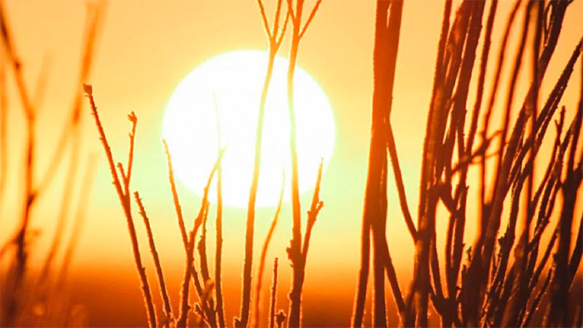 Solsticio de verano 2022: cuándo es y rituales para atraer buena energía