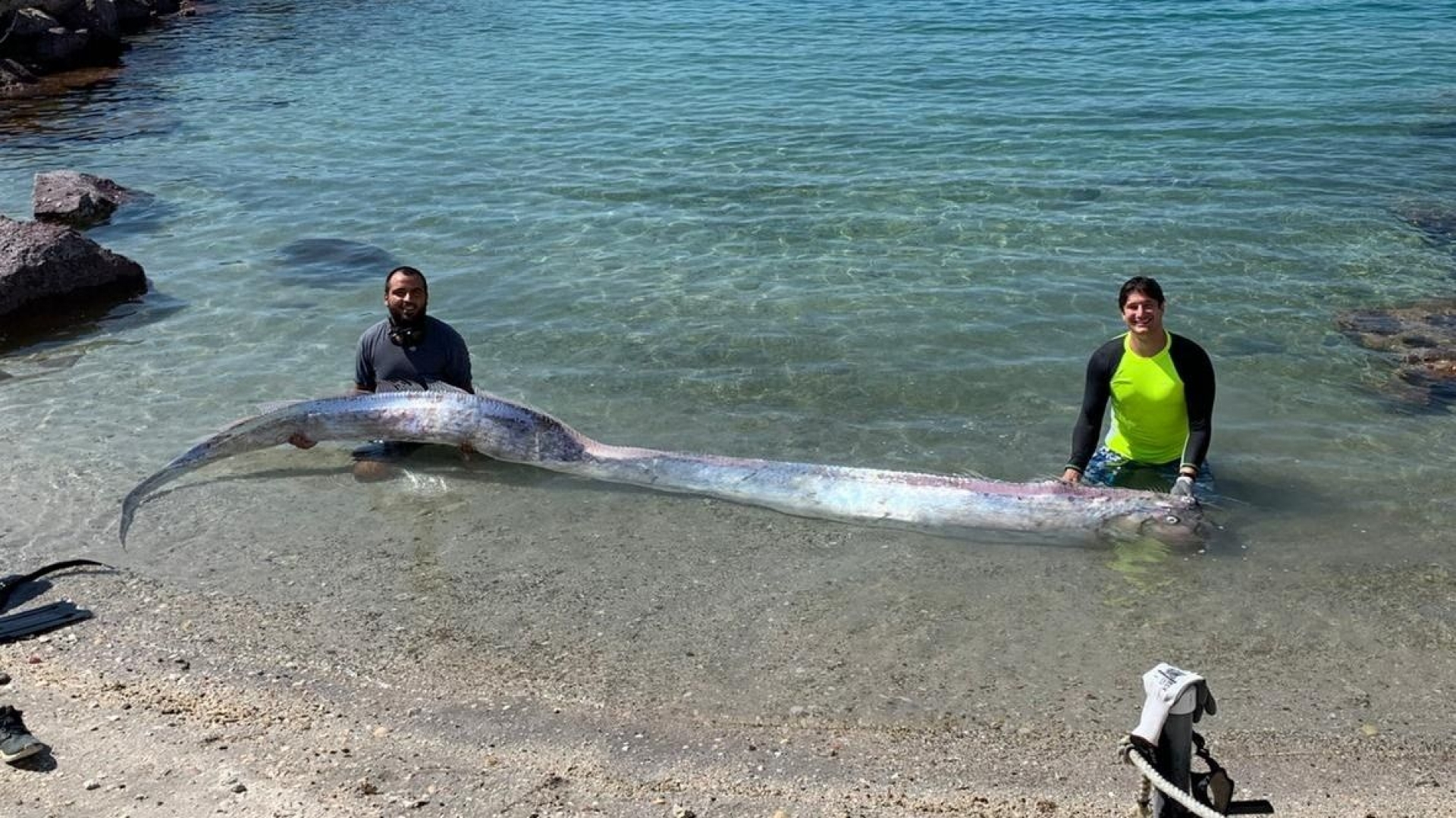 Pez Remo, asociado con sismos en Japón, aparece en playa de Baja California Sur