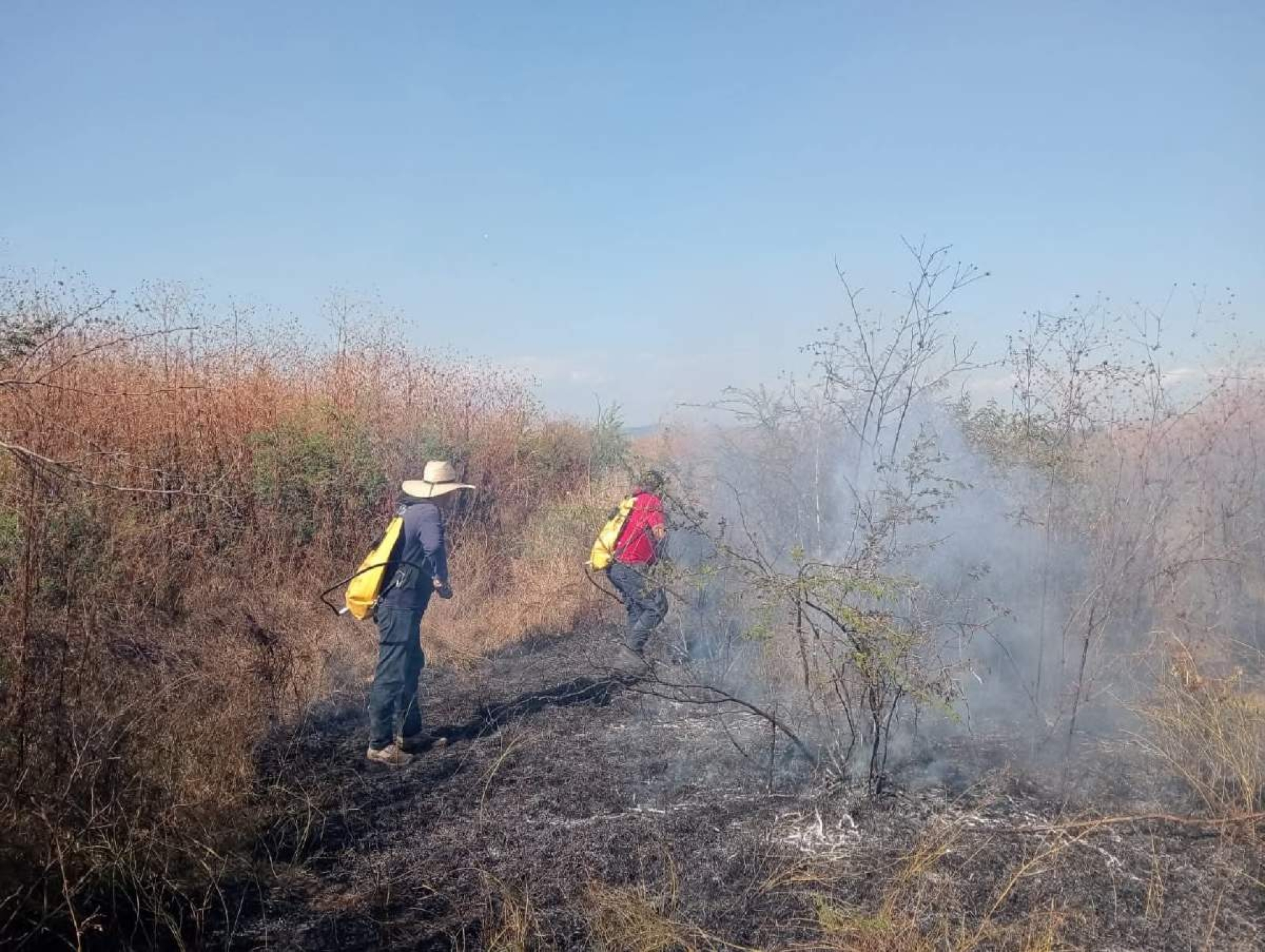 Sofocan incendio de pastizal en Xoxocotla