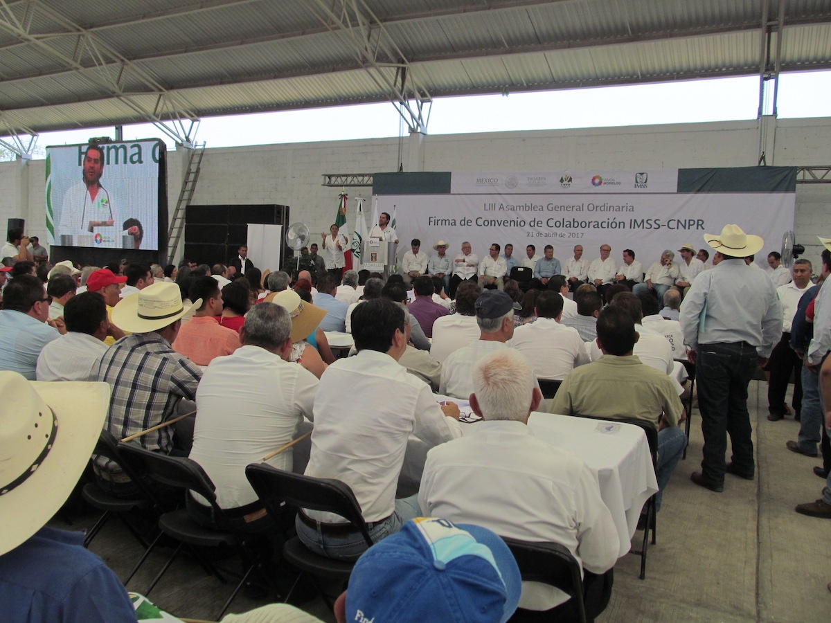 Confirman que CNPR cañera tiene adeudos con el IMSS