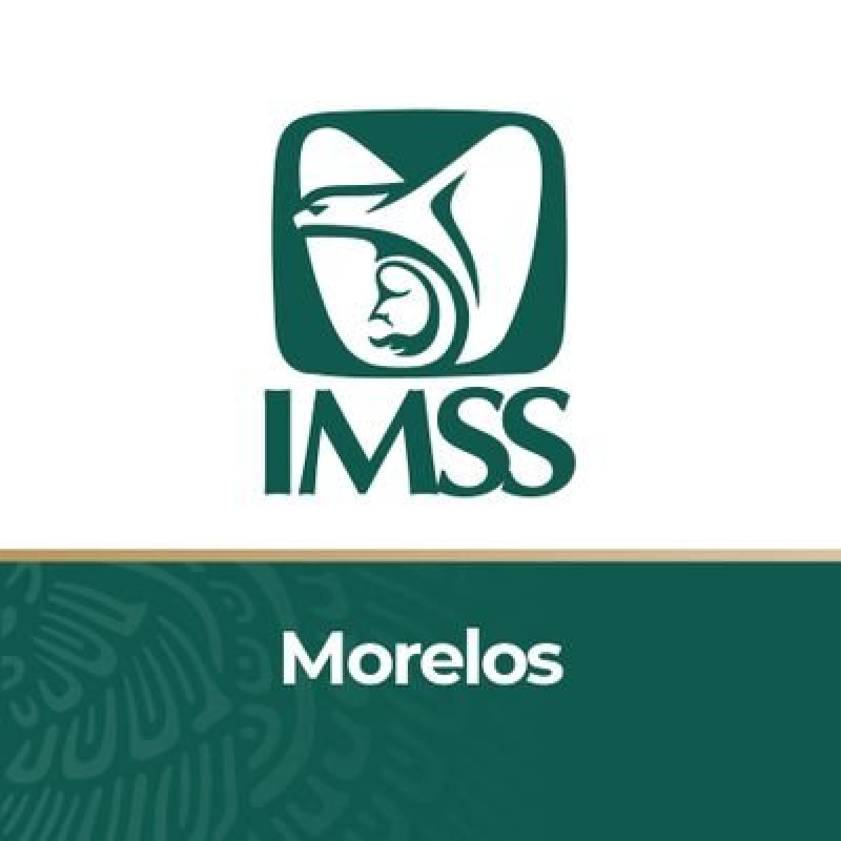 Servicios ofrecidos temporalmente en hospital 'Roberto Auguli Ruiz Rosas' regresarán a sede en HGR/MF No. 1